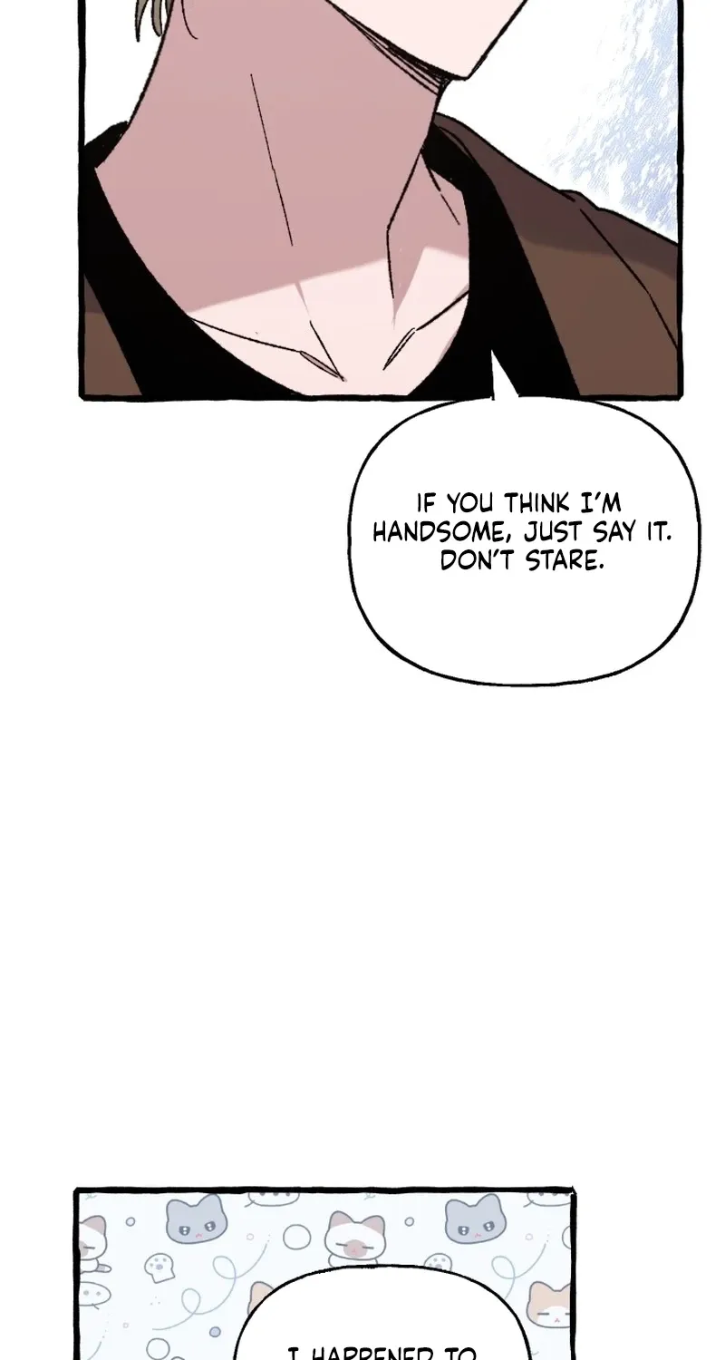 That Kind of Contract Chapter 23 page 73 - 