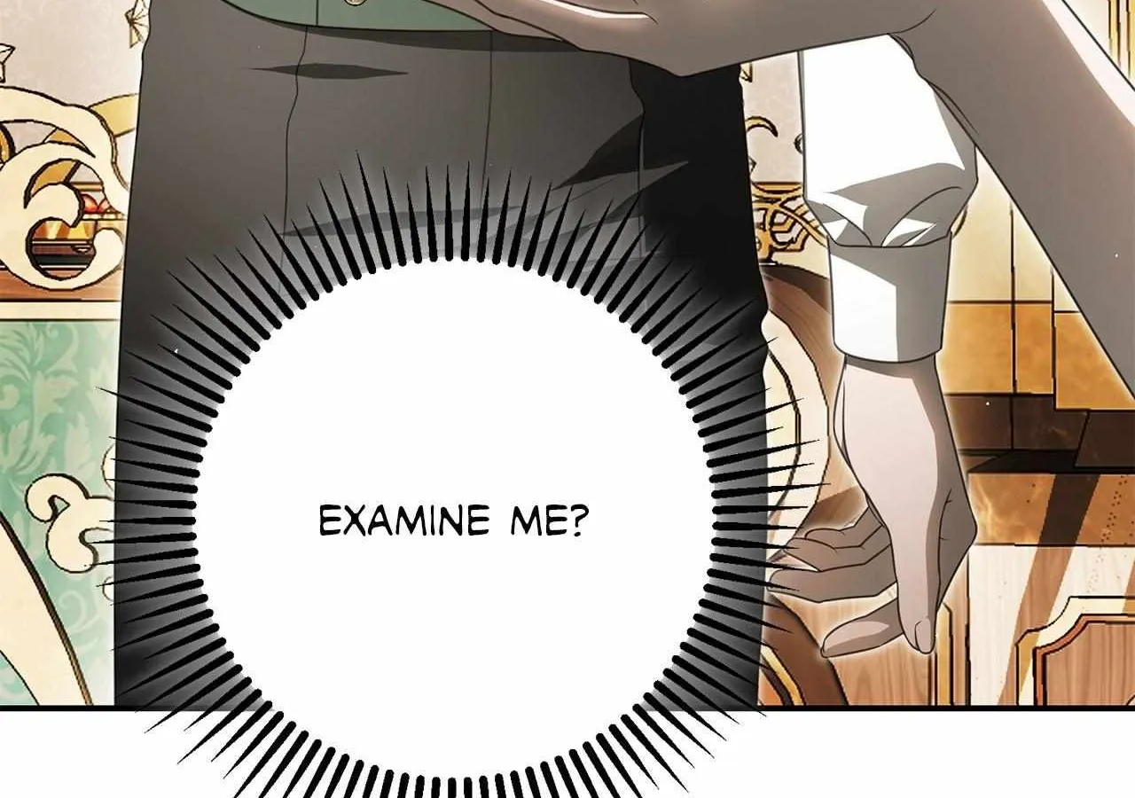 That's Not What My Will Said Chapter 23 page 234 - 