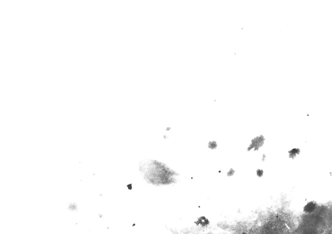 That's Not What My Will Said Chapter 24 page 247 - 