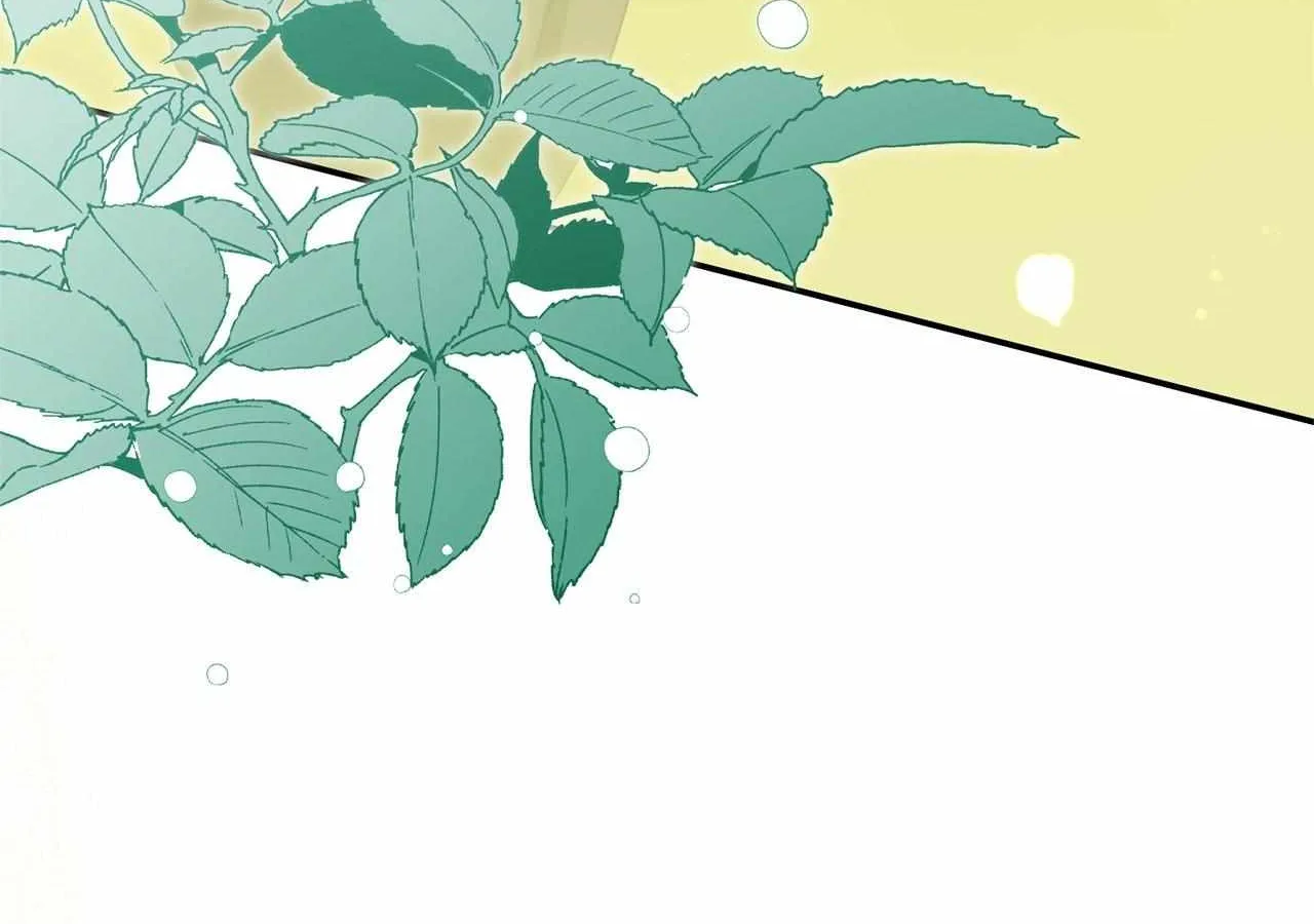 That's Not What My Will Said Chapter 29 page 197 - 