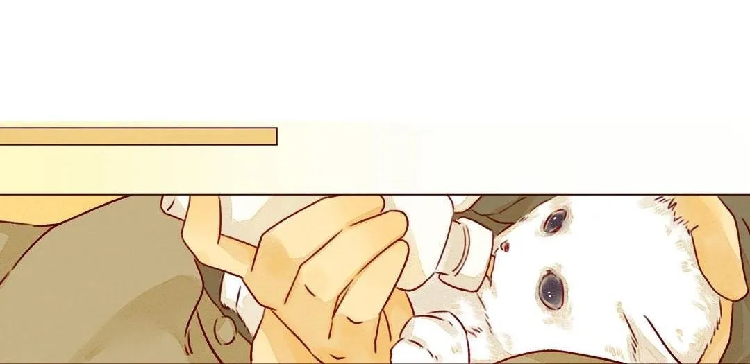 Read That Year, Under the Starry Sky (Colored) chapter 27 image 13 on Lezhin