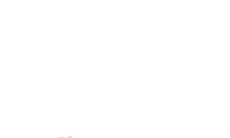 That’s Just How First Love Is, Your Highness Chapter 169 page 70 - 