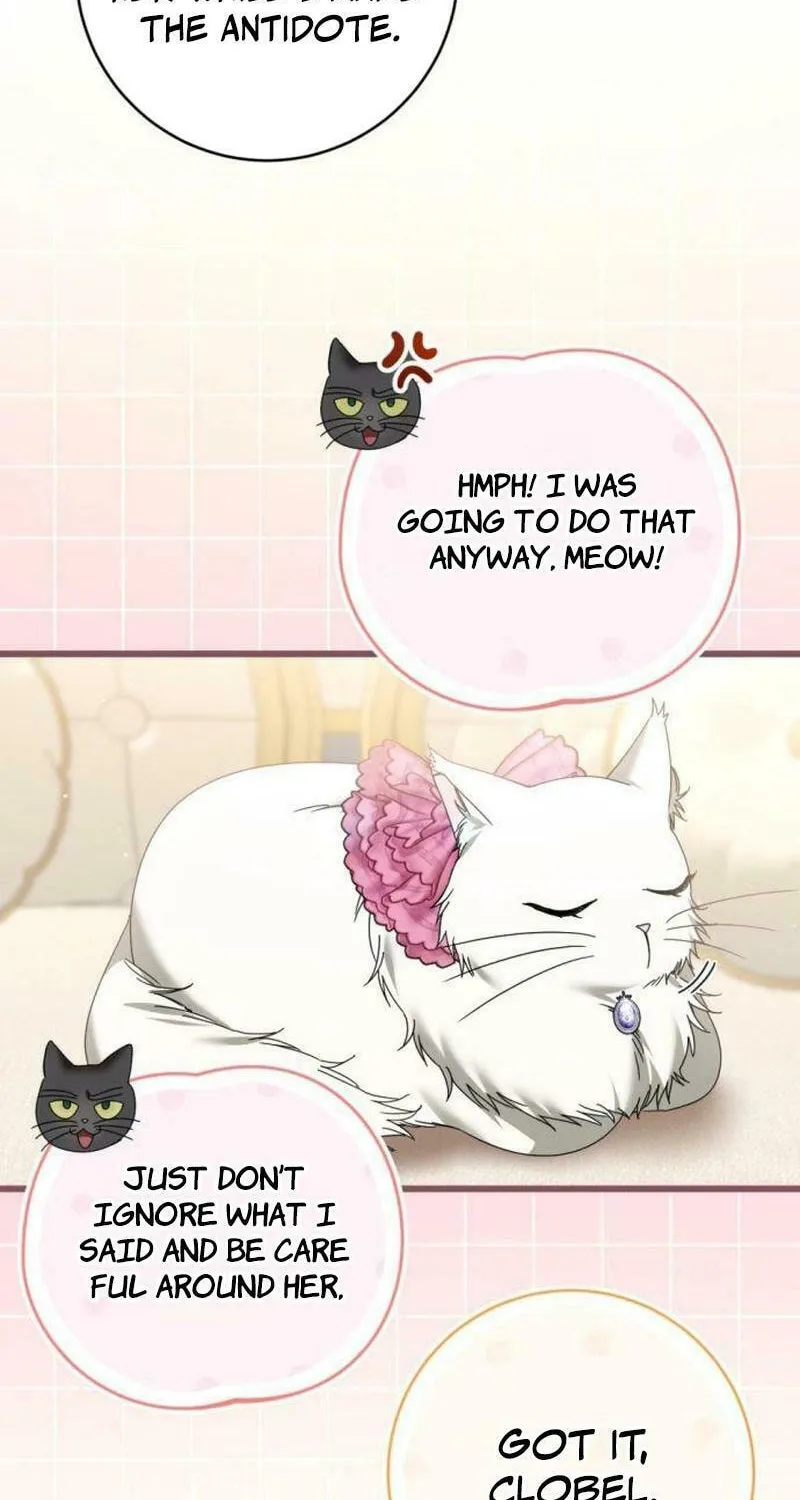 That’s Just How First Love Is, Your Highness Chapter 25 page 64 - 