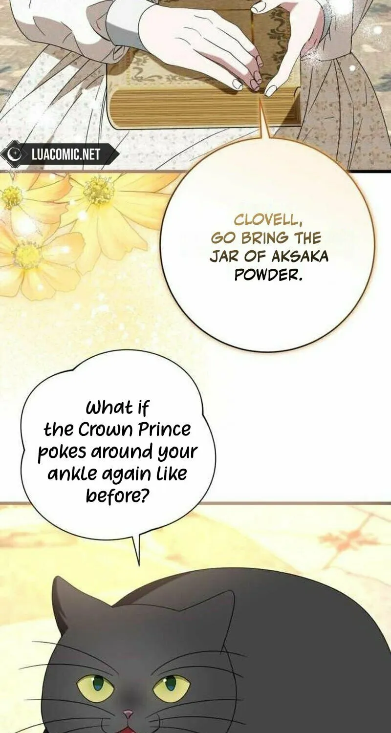 That’s Just How First Love Is, Your Highness Chapter 9 page 80 - 