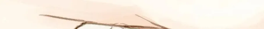 Read The 5th Friend chapter 7 image 113 on Lezhin