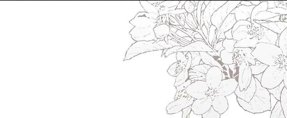 The Abandoned Bachelorette Enjoys Her Simple Life Chapter 28 page 33 - 