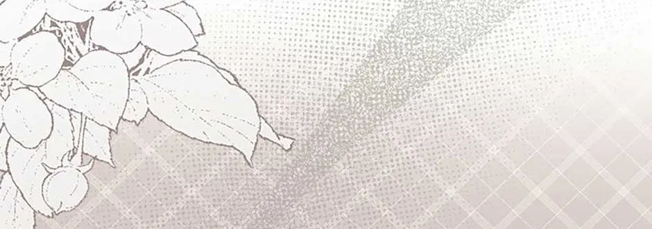 The Abandoned Bachelorette Enjoys Her Simple Life Chapter 38 page 128 - 