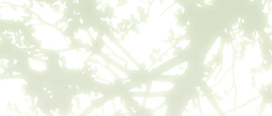 The Abandoned Bachelorette Enjoys Her Simple Life Chapter 42 page 4 - 