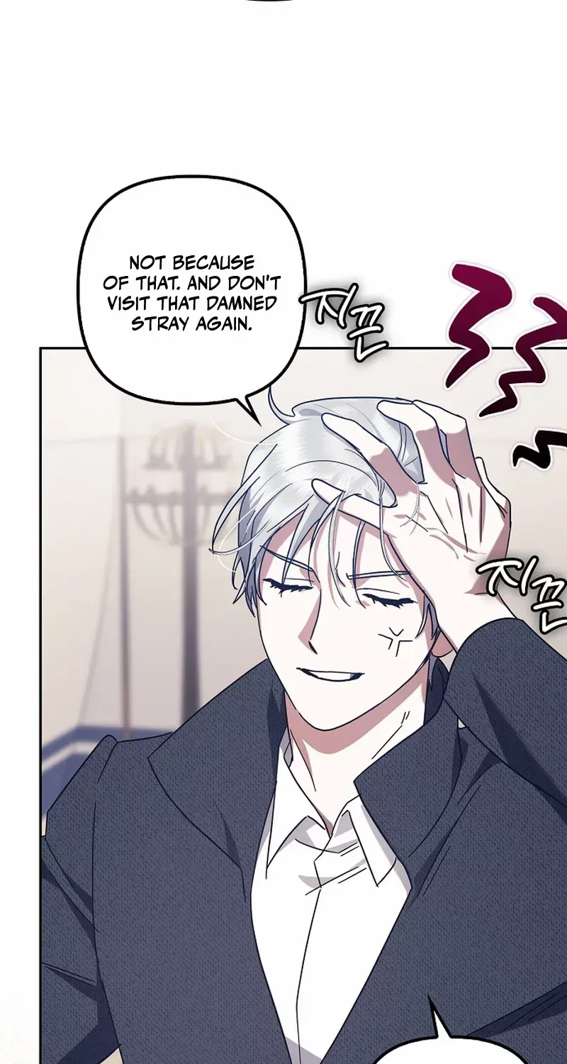 The Abandoned Bachelorette Enjoys Her Simple Life Chapter 49 page 65 - 