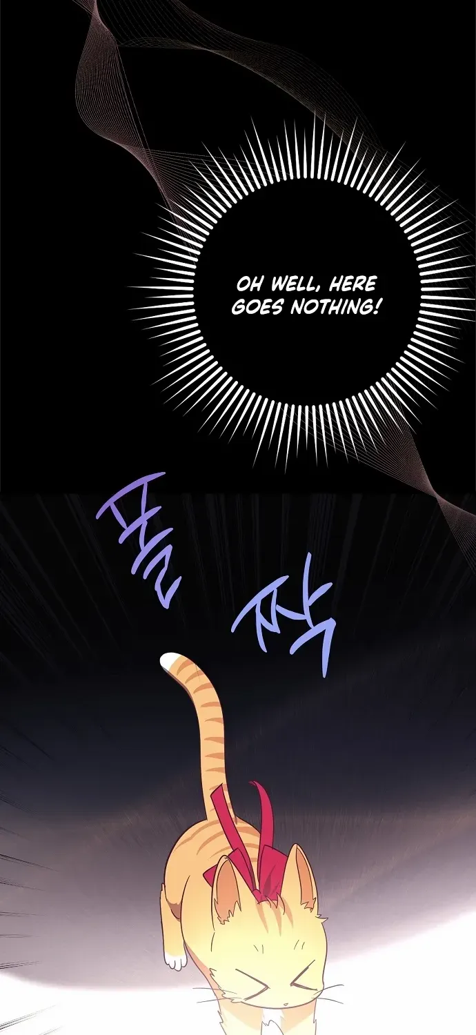 The Abandoned Bachelorette Enjoys Her Simple Life Chapter 60 page 62 - 