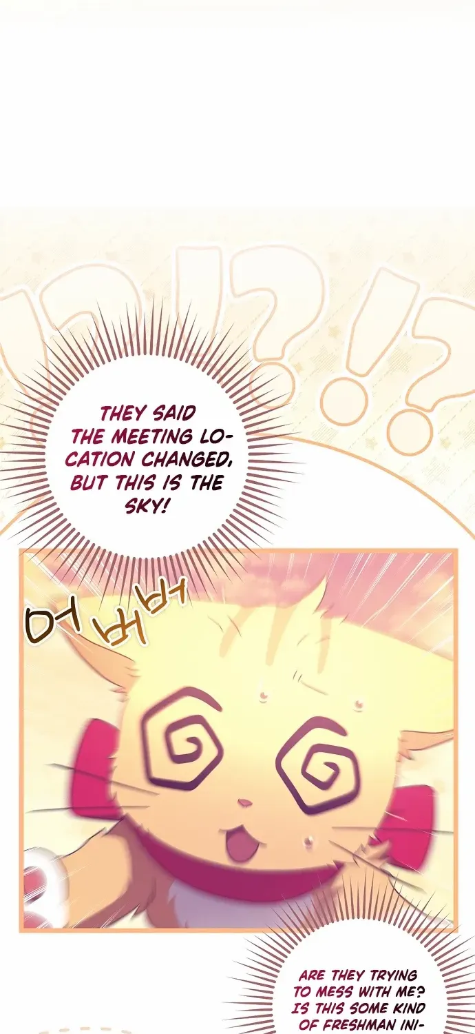 The Abandoned Bachelorette Enjoys Her Simple Life Chapter 60 page 67 - 