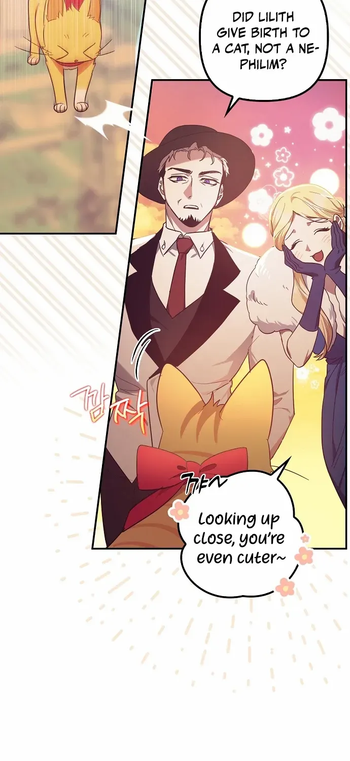The Abandoned Bachelorette Enjoys Her Simple Life Chapter 60 page 70 - 