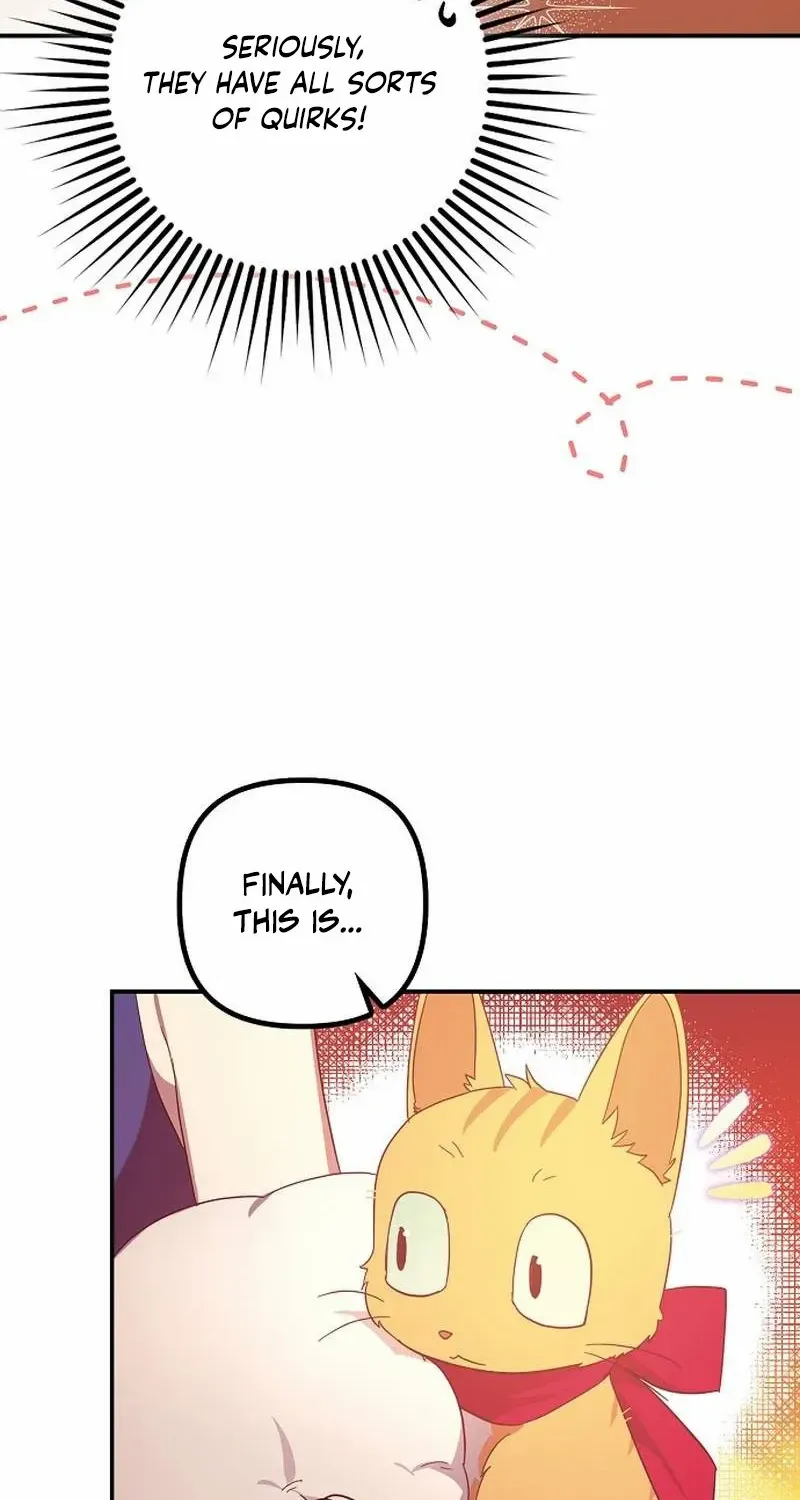 The Abandoned Bachelorette Enjoys Her Simple Life Chapter 61 page 39 - 