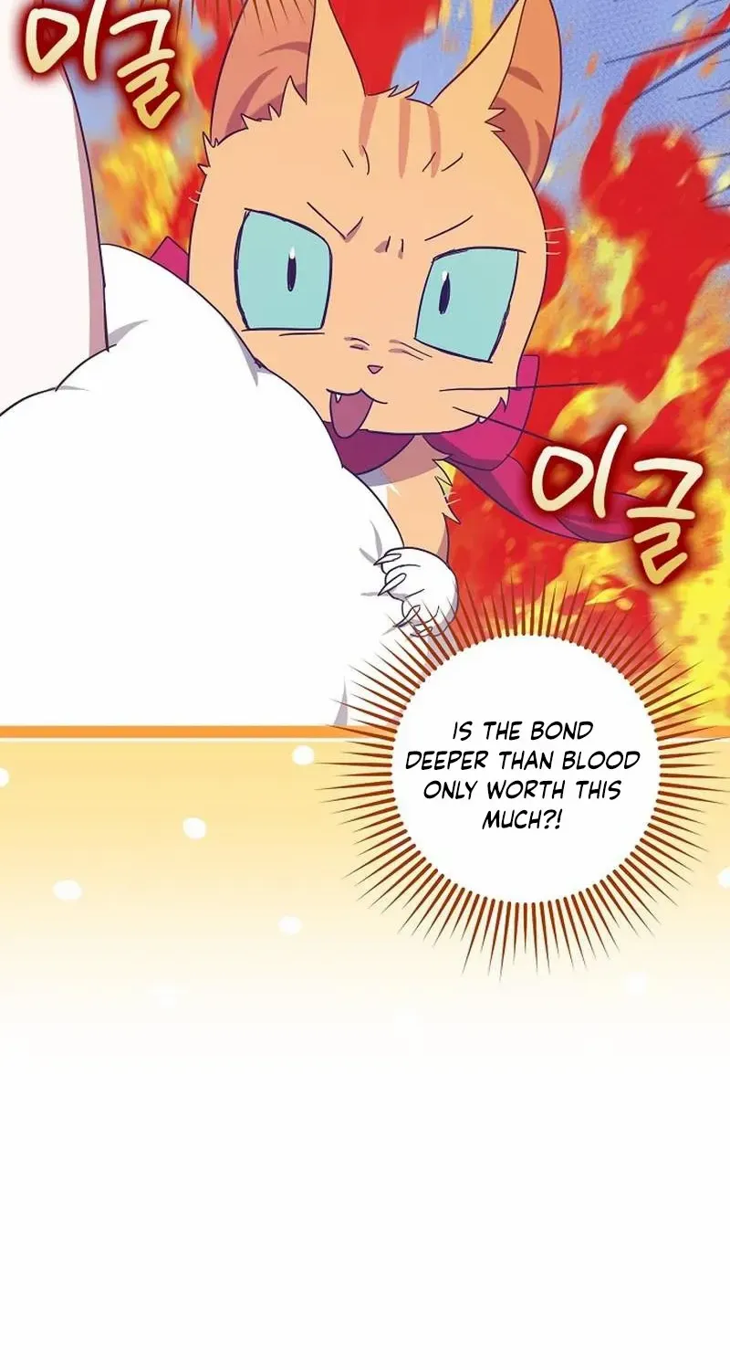 The Abandoned Bachelorette Enjoys Her Simple Life Chapter 61 page 51 - 