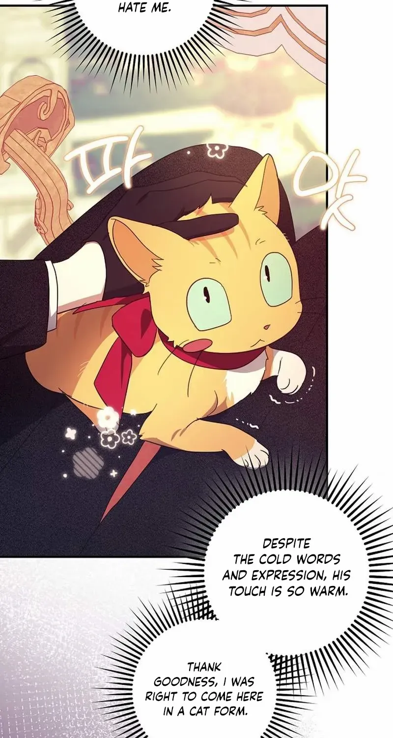 The Abandoned Bachelorette Enjoys Her Simple Life Chapter 61 page 67 - 