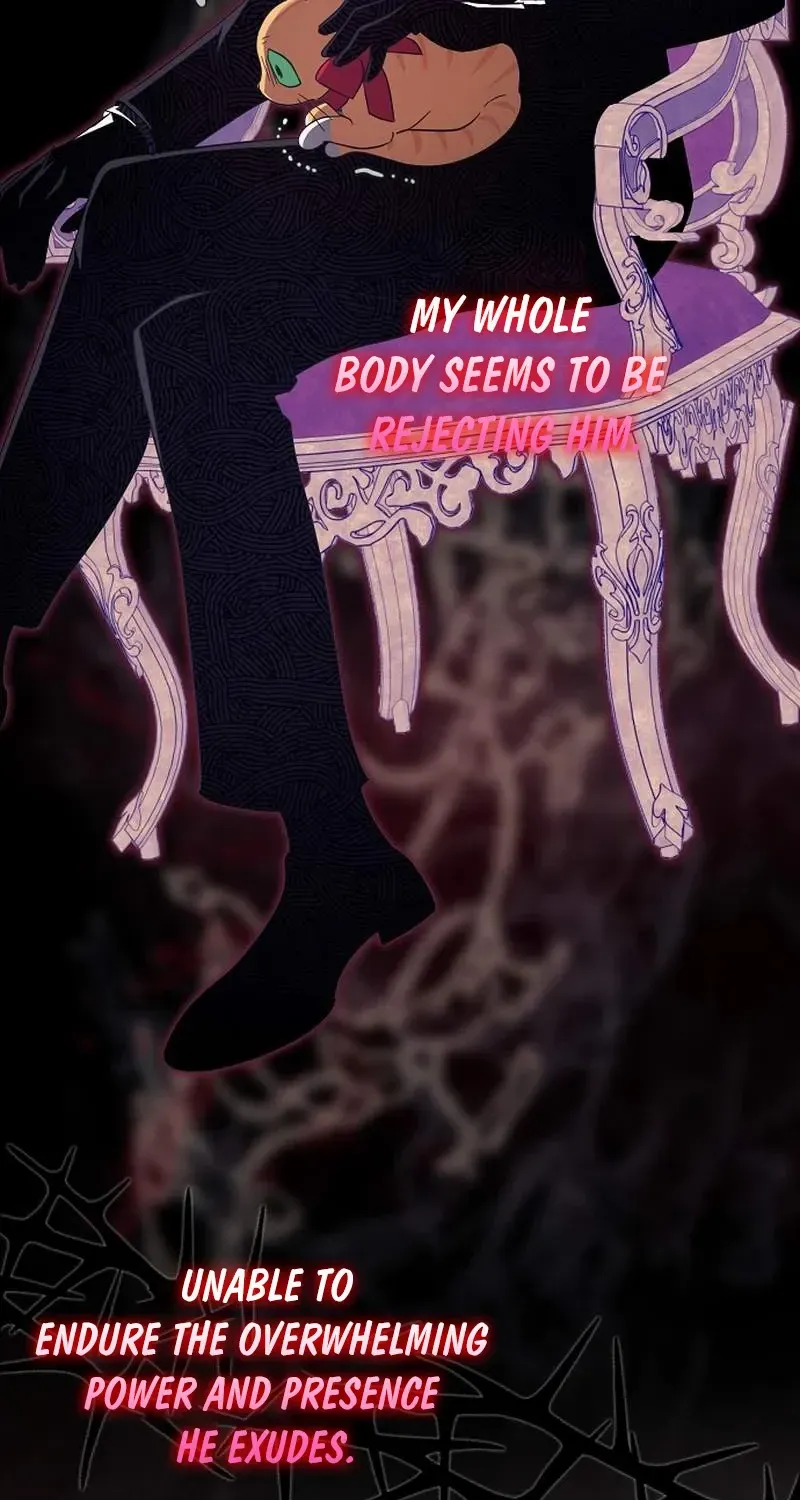 The Abandoned Bachelorette Enjoys Her Simple Life Chapter 61 page 72 - 