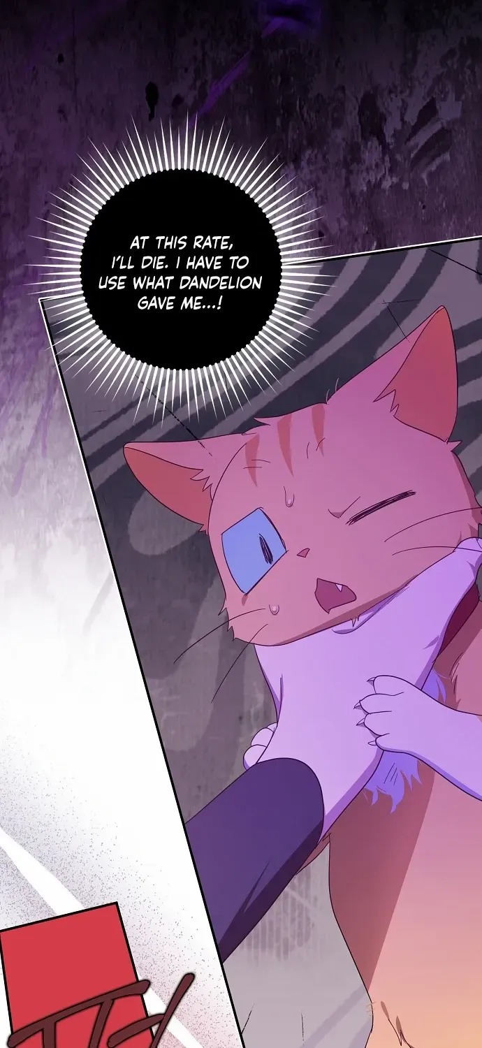 The Abandoned Bachelorette Enjoys Her Simple Life Chapter 62 page 12 - 