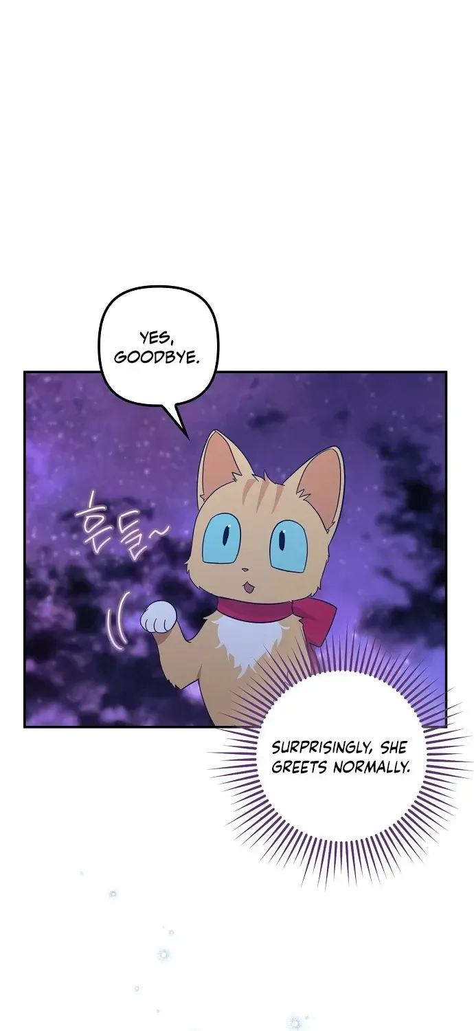 The Abandoned Bachelorette Enjoys Her Simple Life Chapter 62 page 45 - 