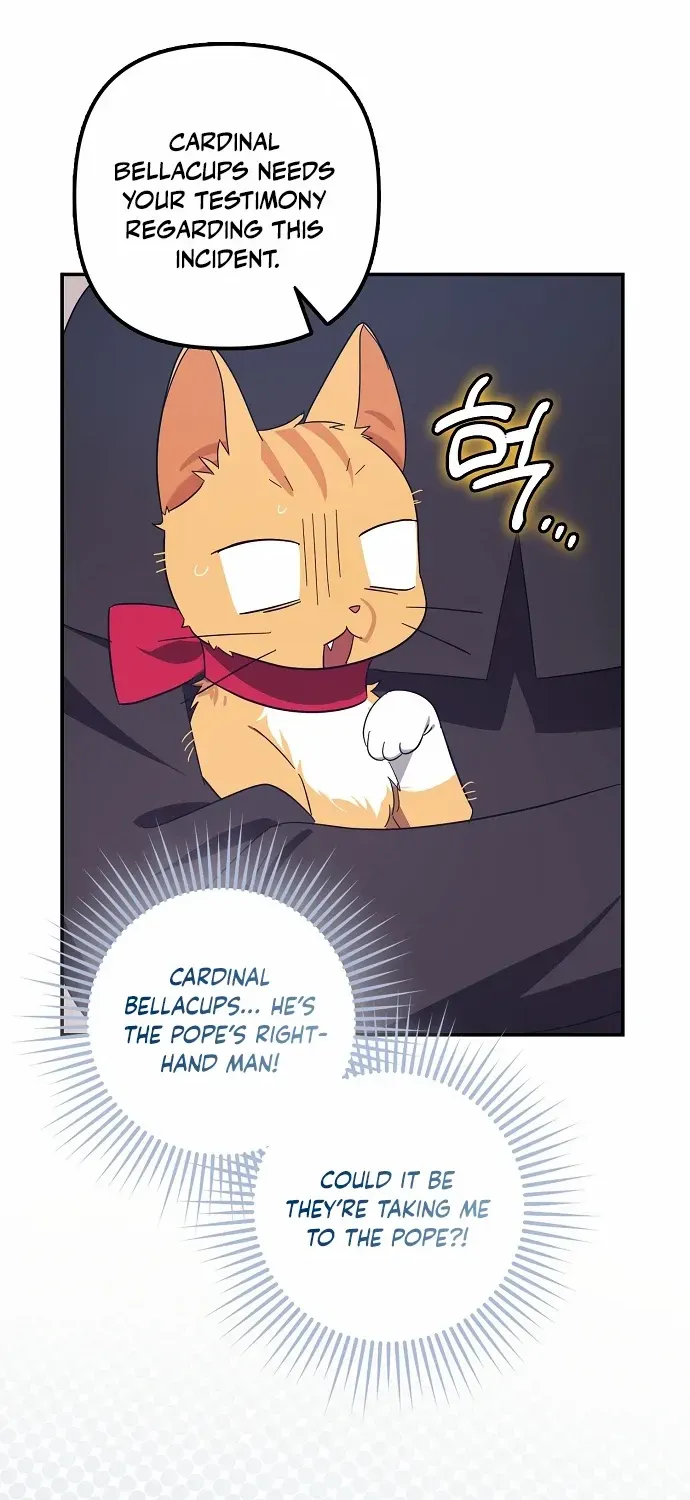 The Abandoned Bachelorette Enjoys Her Simple Life Chapter 62 page 72 - 