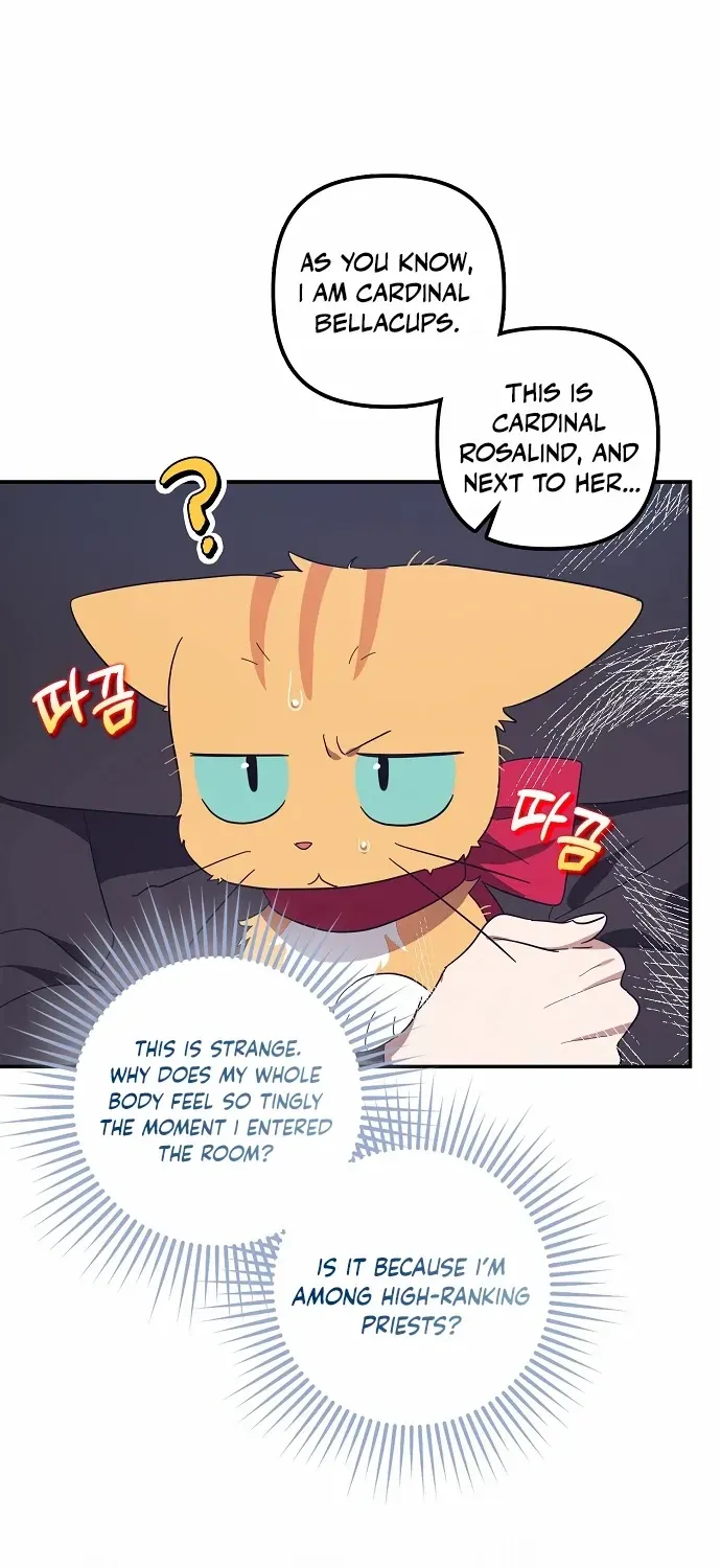 The Abandoned Bachelorette Enjoys Her Simple Life Chapter 62 page 77 - 