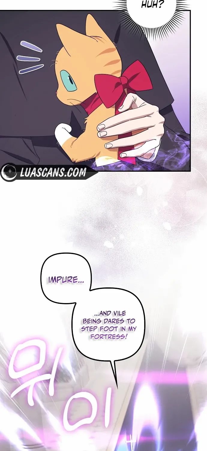 The Abandoned Bachelorette Enjoys Her Simple Life Chapter 63 page 49 - 