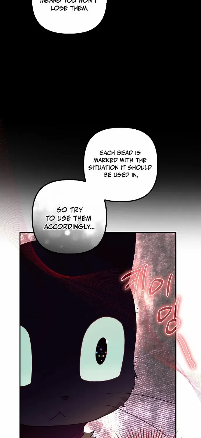 The Abandoned Bachelorette Enjoys Her Simple Life Chapter 63 page 58 - 