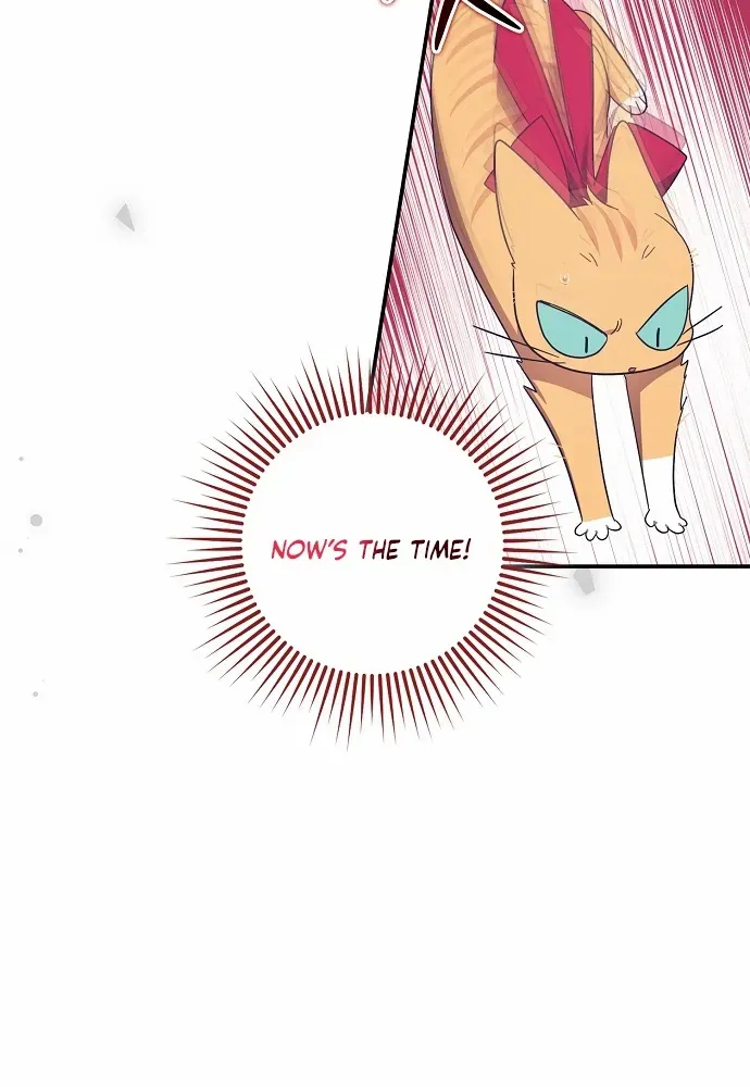 The Abandoned Bachelorette Enjoys Her Simple Life Chapter 63 page 63 - 