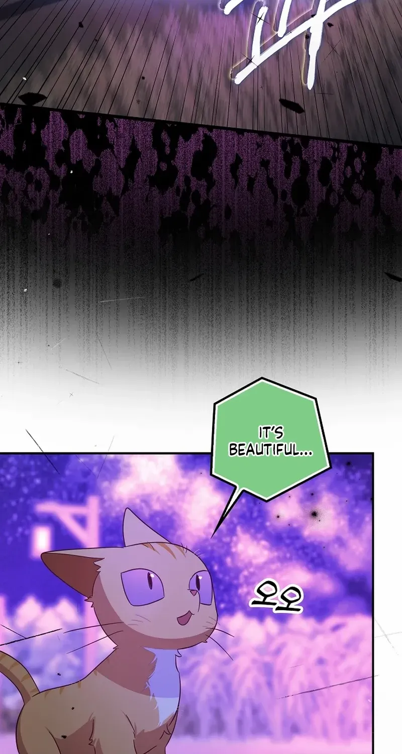 The Abandoned Bachelorette Enjoys Her Simple Life Chapter 67 page 79 - 