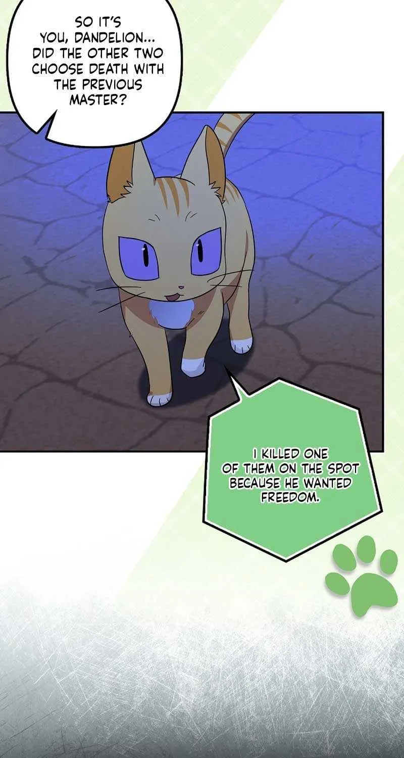 The Abandoned Bachelorette Enjoys Her Simple Life Chapter 68 page 21 - 