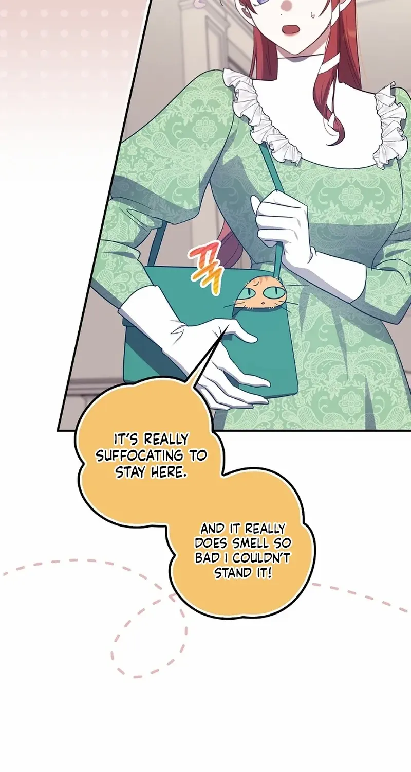 The Abandoned Bachelorette Enjoys Her Simple Life Chapter 69 page 43 - 