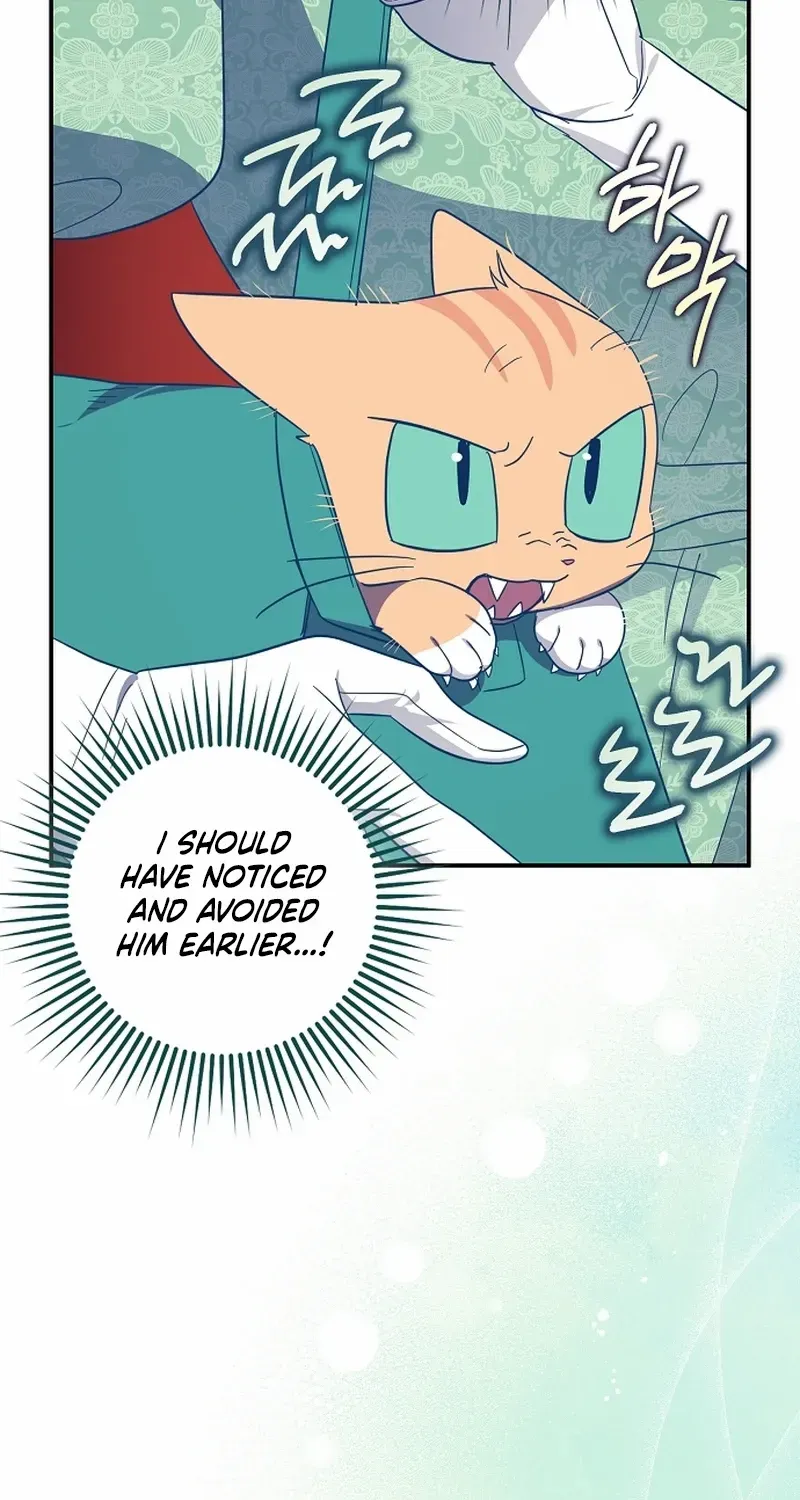The Abandoned Bachelorette Enjoys Her Simple Life Chapter 69 page 62 - 