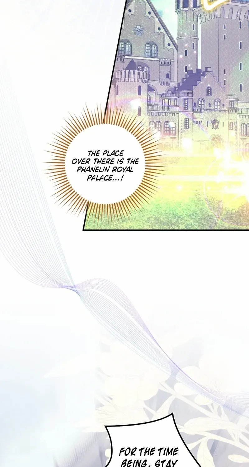 The Abandoned Bachelorette Enjoys Her Simple Life Chapter 69 page 80 - 