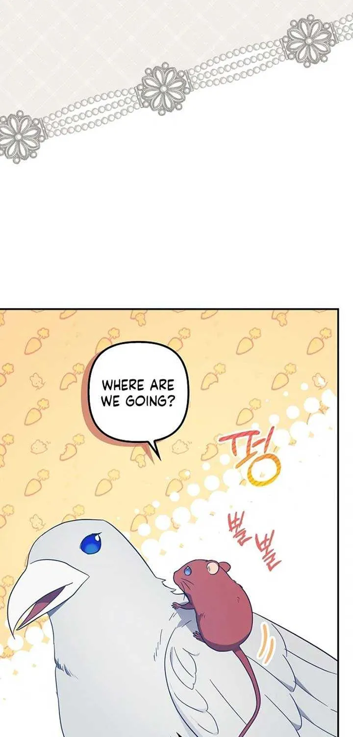 The Abandoned Bachelorette Enjoys Her Simple Life Chapter 74 page 16 - 