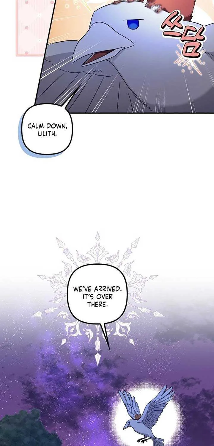 The Abandoned Bachelorette Enjoys Her Simple Life Chapter 74 page 31 - 