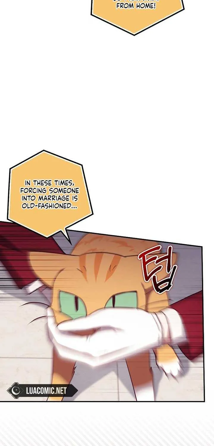 The Abandoned Bachelorette Enjoys Her Simple Life Chapter 77 page 35 - 