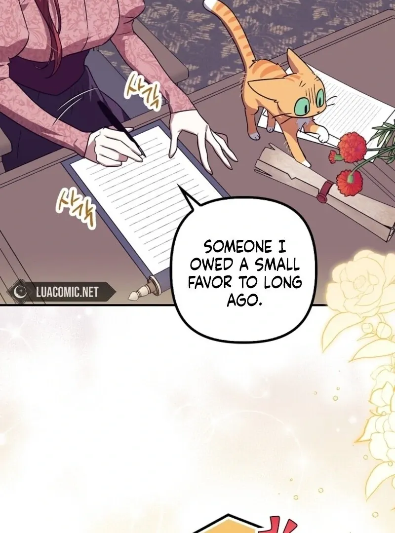 The Abandoned Bachelorette Enjoys Her Simple Life Chapter 88 page 8 - 