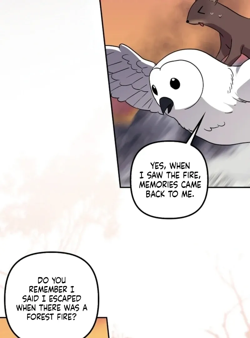 The Abandoned Bachelorette Enjoys Her Simple Life Chapter 99 page 25 - 