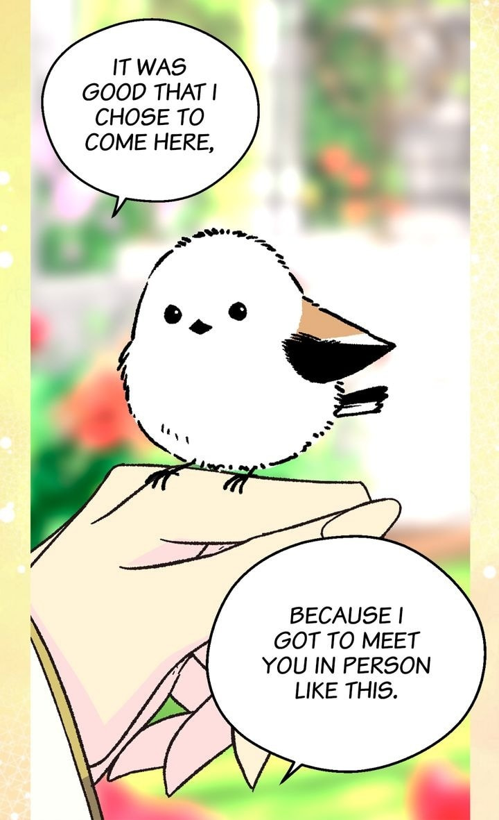 Read The Abandoned Empress chapter 6.4 image 13 on Lezhin