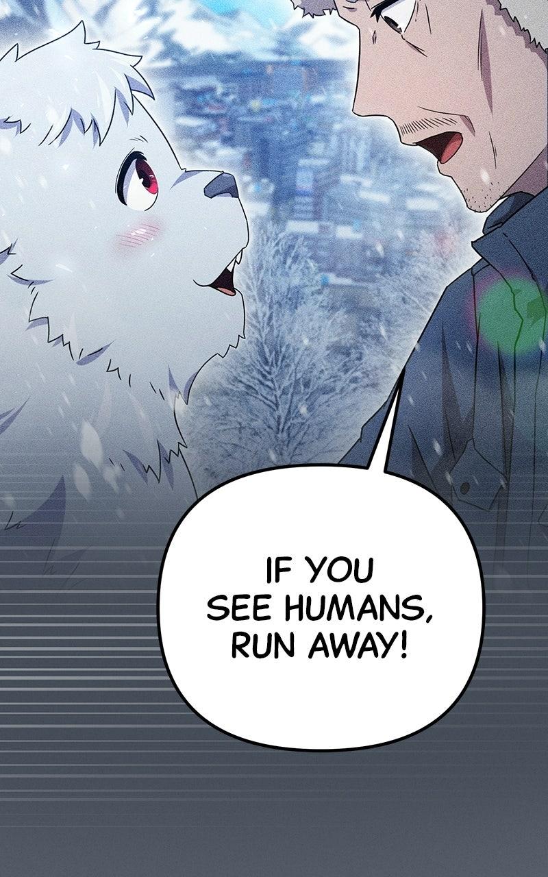 Read The Absolute Beastmaster’s Modern Life chapter 8 image 64 on Lezhin