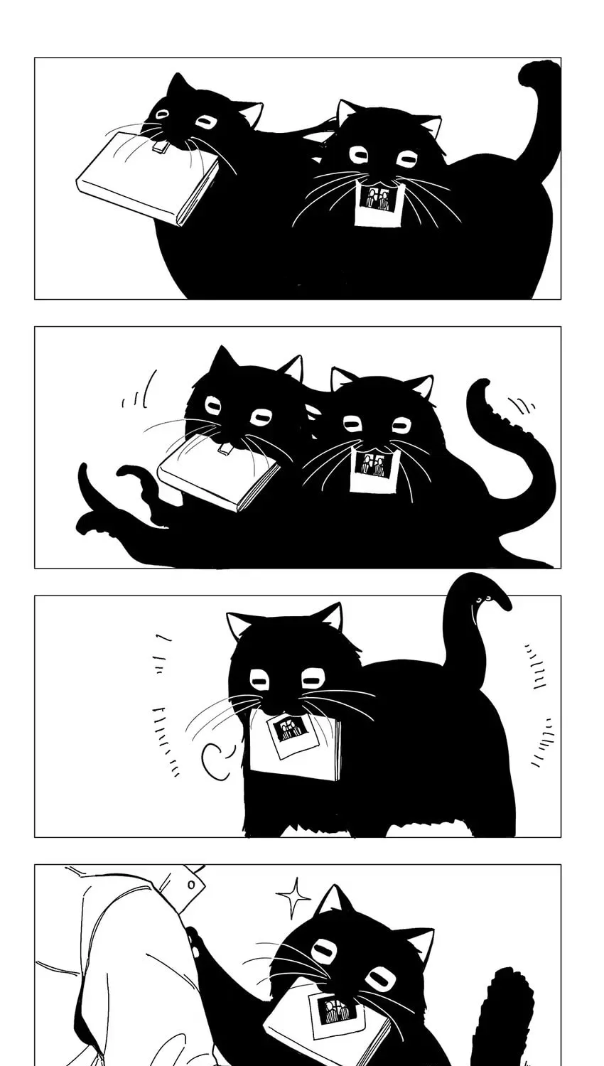 Read The Abyss Kitty chapter 10 image 1 on Lezhin