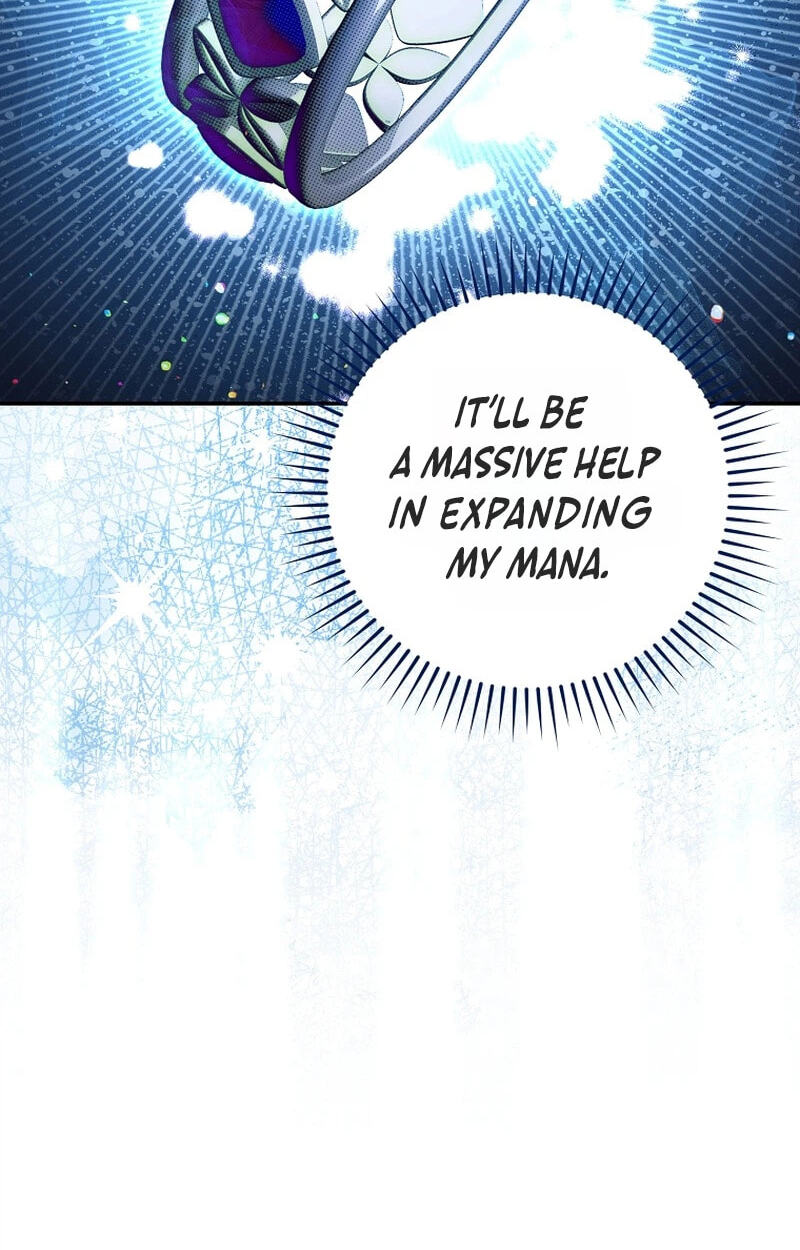 The Academy's Weapon Replicator Chapter 17 page 74 - 