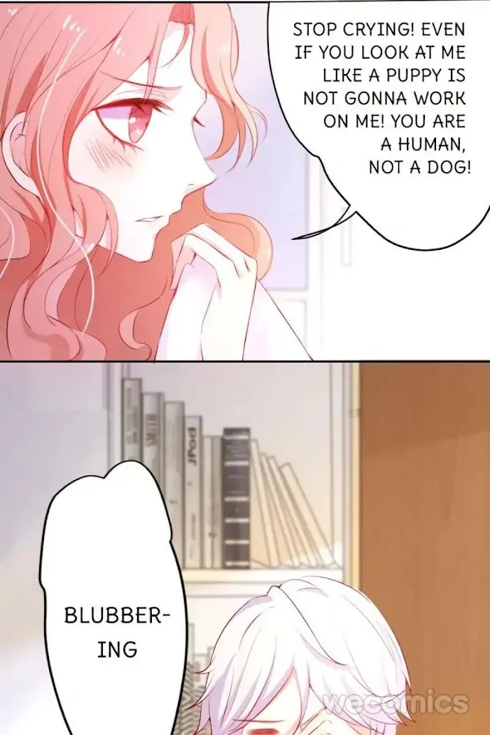 Read The Adorable Vampire chapter 1 image 12 on Lezhin