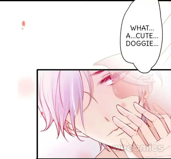 Read The Adorable Vampire chapter 1 image 2 on Lezhin