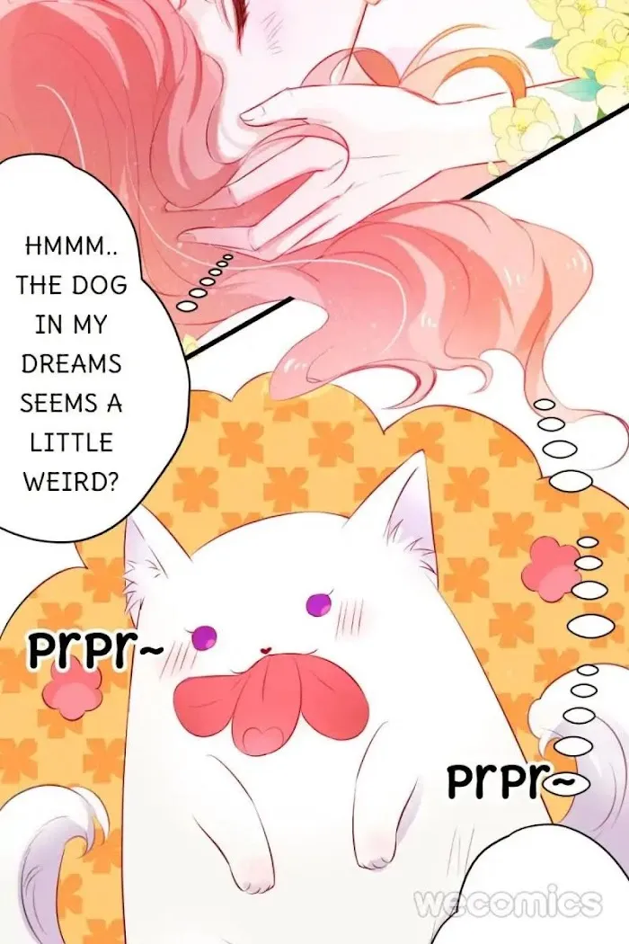 Read The Adorable Vampire chapter 1 image 6 on Lezhin