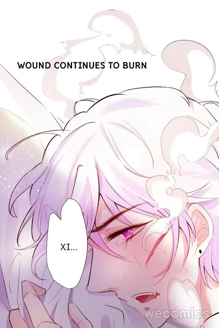 Read The Adorable Vampire chapter 12 image 8 on Lezhin