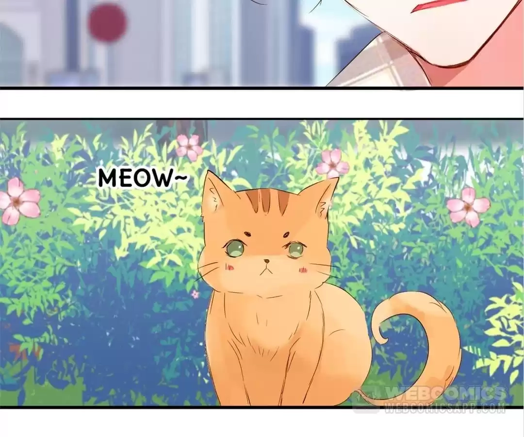 Read The Adorable Vampire chapter 16 image 80 on Lezhin