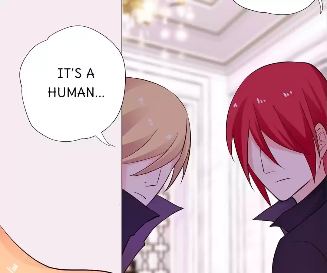 Read The Adorable Vampire chapter 25 image 56 on Lezhin