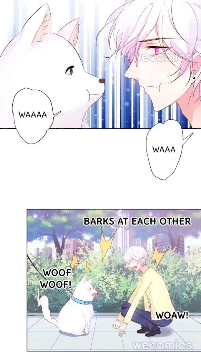 Read The Adorable Vampire chapter 9 image 11 on Lezhin