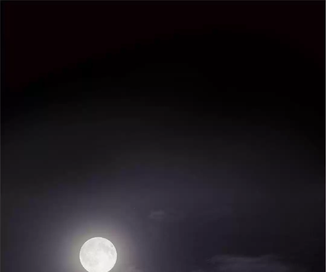 Read The Advanced Soul chapter 16 image 152 on Lezhin