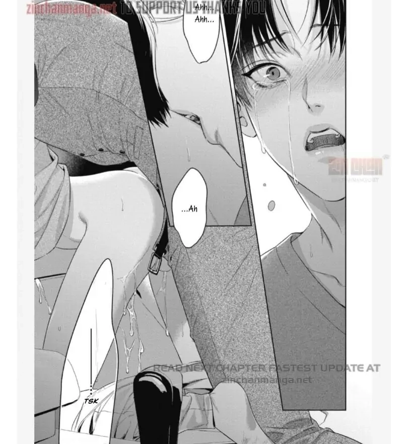 Read The Alpha